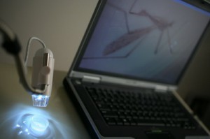 Microscope Numérique USB DINO LITE