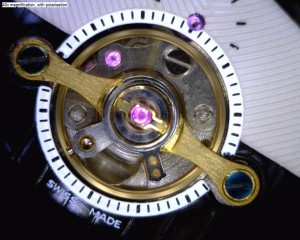 Microscope Numérique DINO-LITE X Pro avec Polariseur
