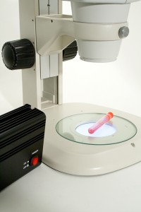 Exemple d'application loupe binoculaire PERFEX Série Pro 10/Éclairage additionnel PERFEX